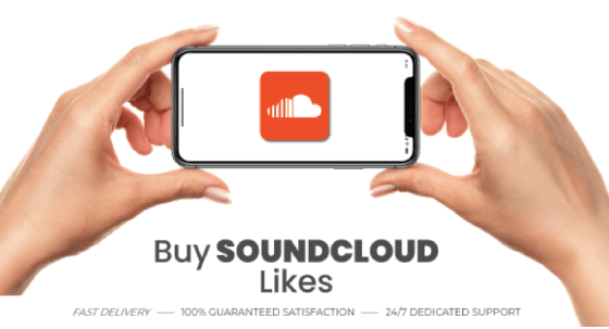 Audience insights illustration